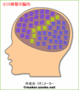 小川麻琴(おがわまこと)の脳内写真画像.gif